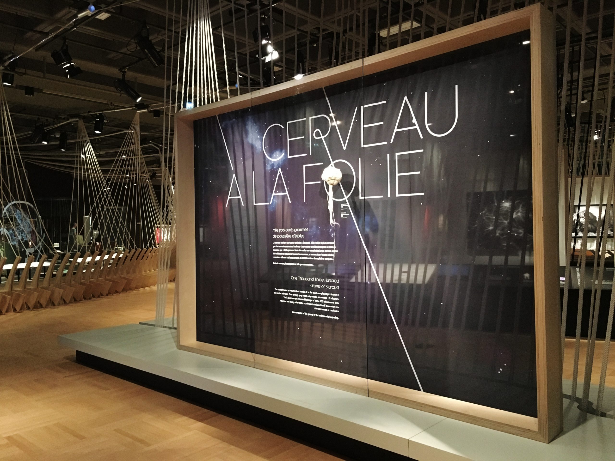 Musée de la civilisation - Cerveau à la folie